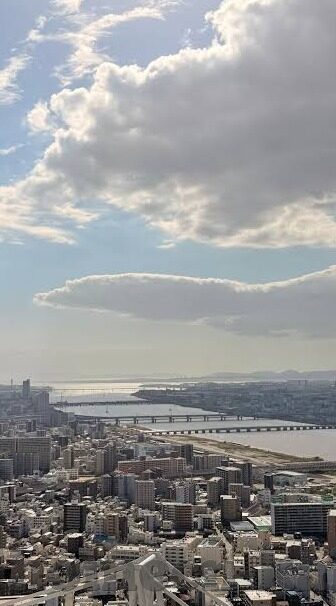 足球06年世界杯冠军-足球06年世界杯冠军，意大利的荣耀时刻